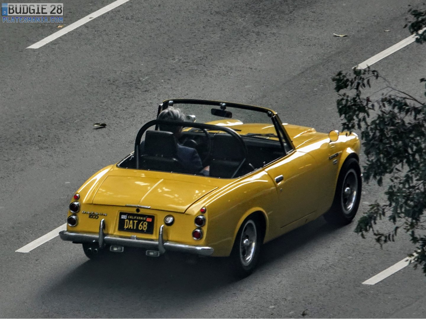 DAT68, Datsun 1500/1600 Sports 1st gen 1600 (SPL311/SP311), 1965–1970