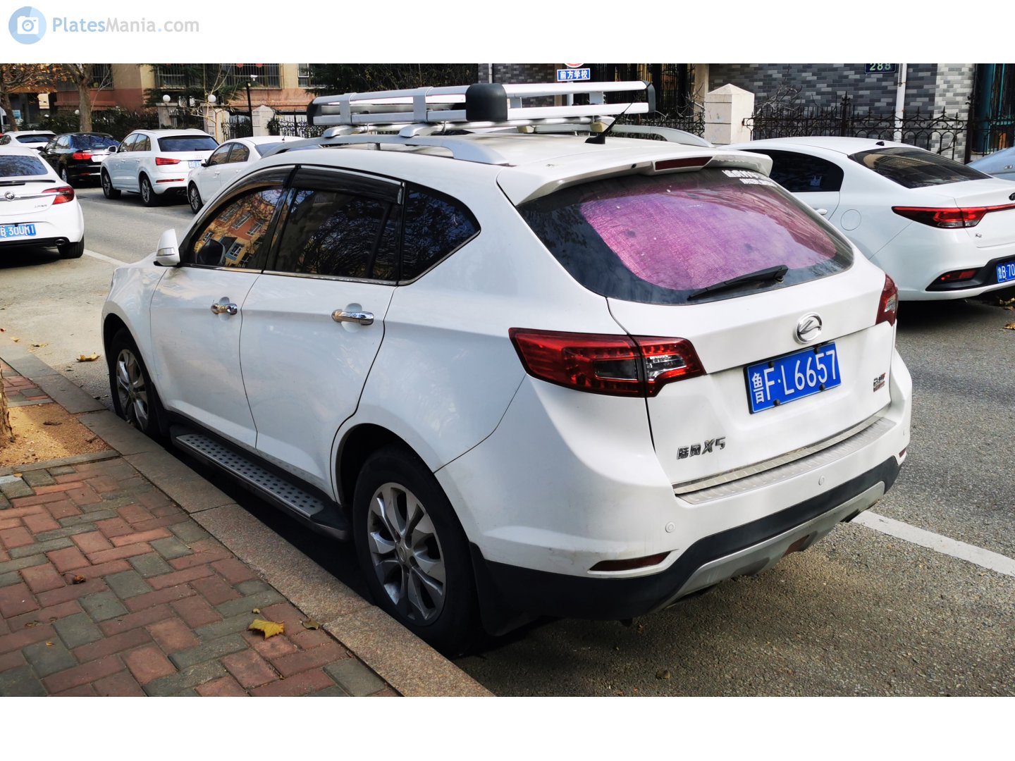 鲁F·L6657, Landwind X5 
