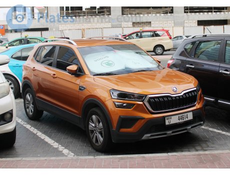 U 44614, Skoda Kushaq