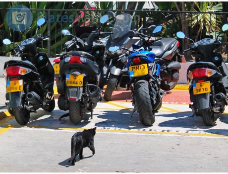 G 3117 D, Yamaha Cygnus