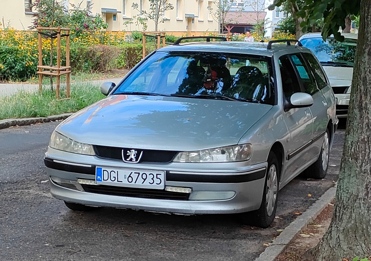 DGL 67935, Peugeot 406 1st gen Break (D82/D92), facelift, 1999–2004