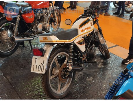 T 1100 J, Bultaco Streaker