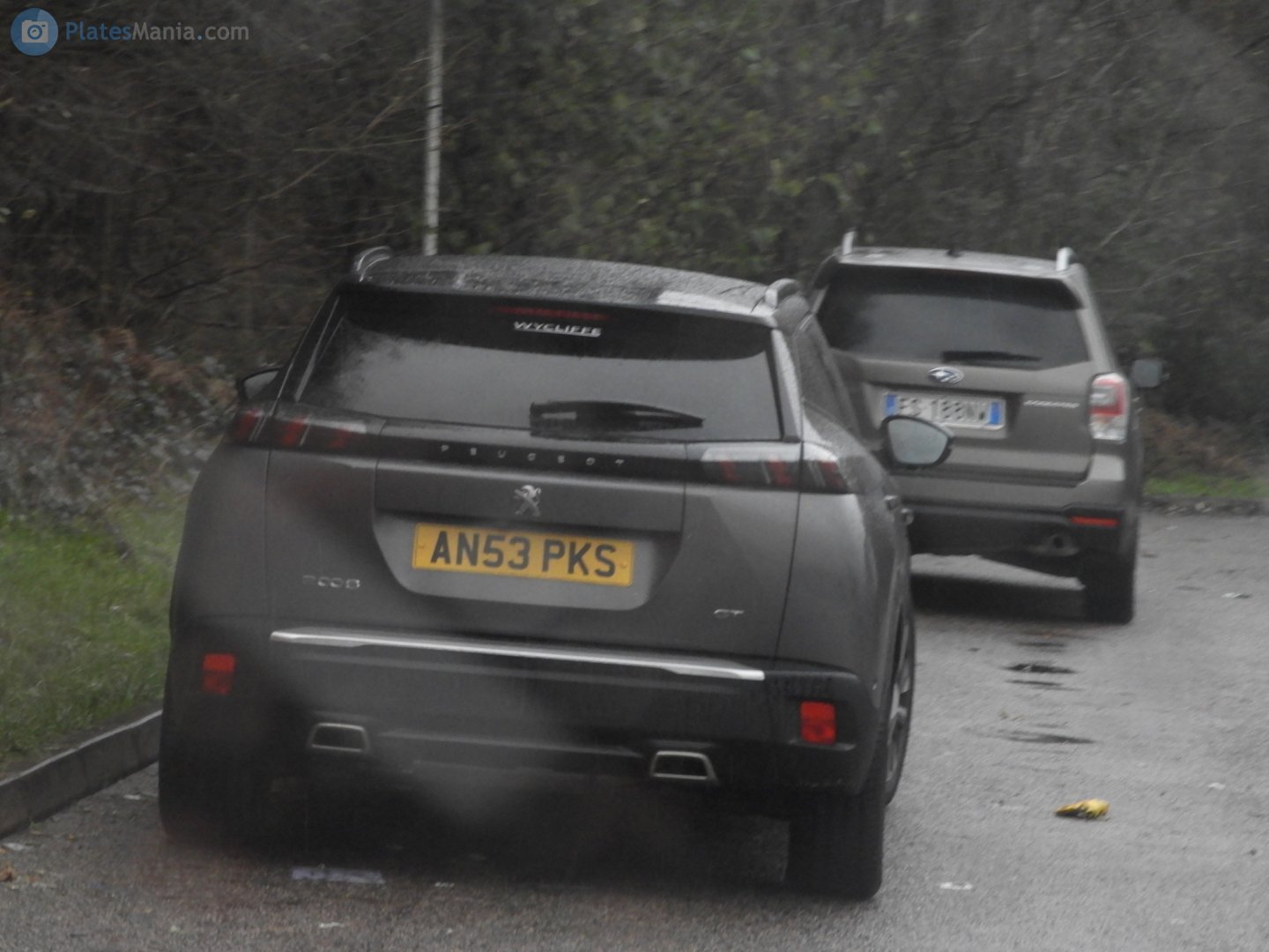 AN53PKS, Peugeot 2008 2nd gen (P24 / e-2008), 2019–2023