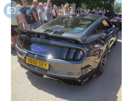 X600 SEY, Ford Mustang