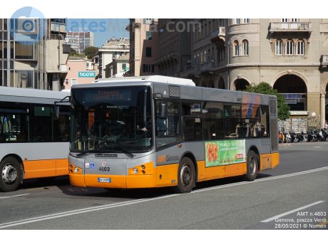 DK 263 RM, Menarini Vivacity