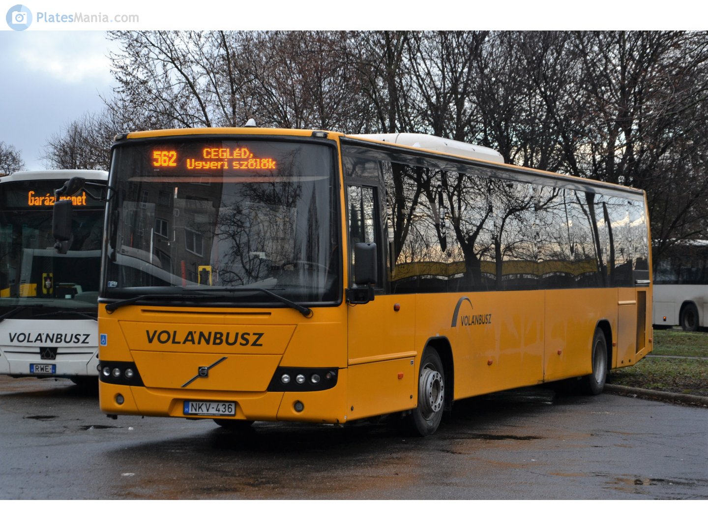 NKV-436, Volvo 8700 