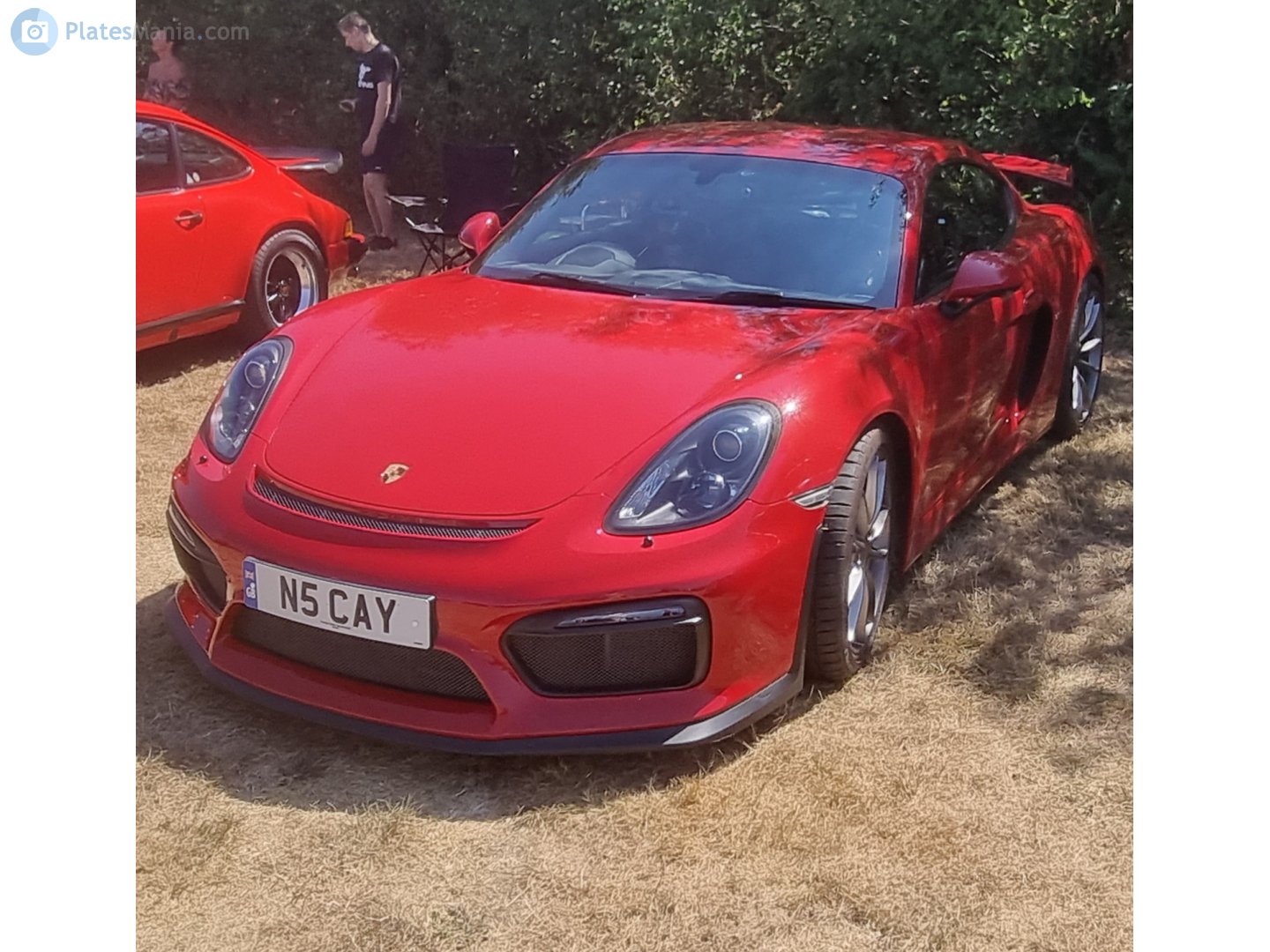 N5CAY, Porsche Cayman 2nd gen (981C), 2013–2018