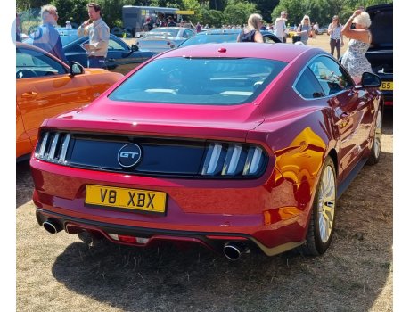 V8 XBX, Ford Mustang