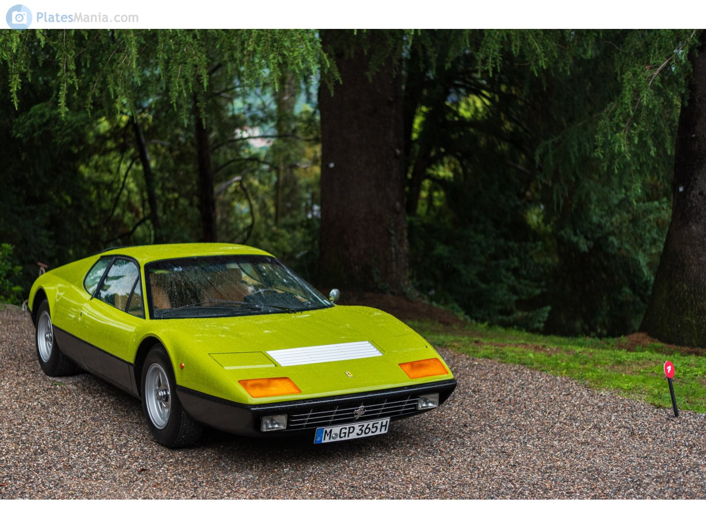 M GP 365 H, Ferrari 365 365 GT/4 BB (1973–1976)