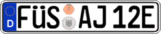 German license plate, Electric vehicles