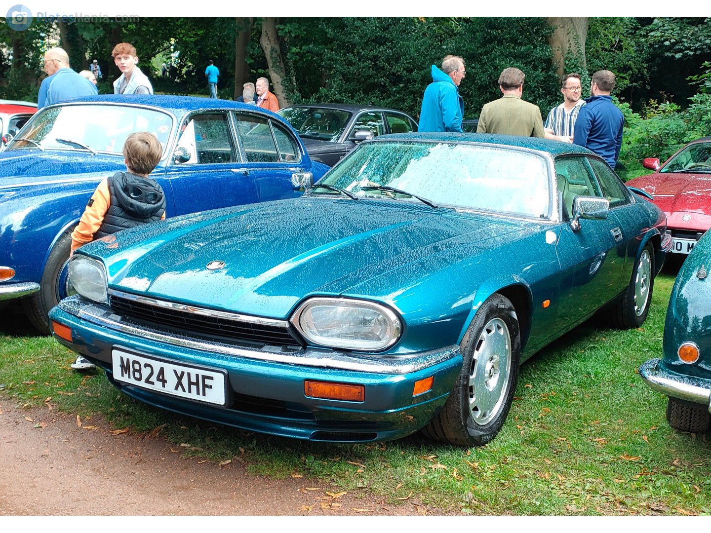M824XHF, Jaguar XJS XJS Coupé (Series 3), 1991–1996