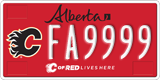Alberta, Calgary Flames (FA1234)