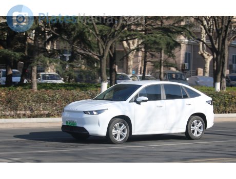 鲁B·A92015, Maple Caocao 60