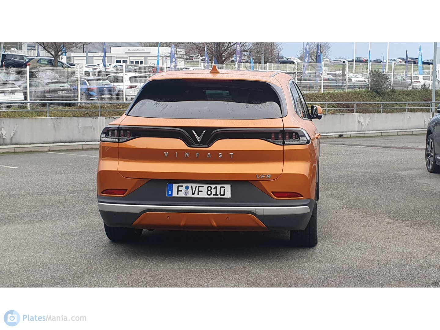 F VF 810, VinFast VF8 1st gen, 2022–