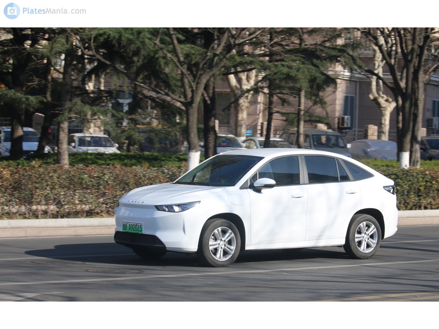 鲁B·A92015, Maple Caocao 60 