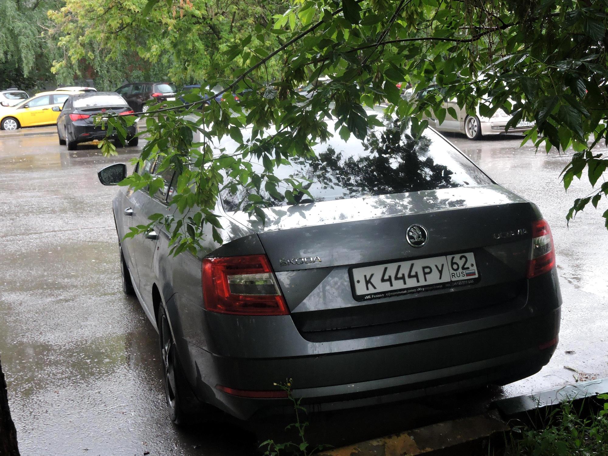 "к 444 ру 62" photos Skoda Octavia. Russia