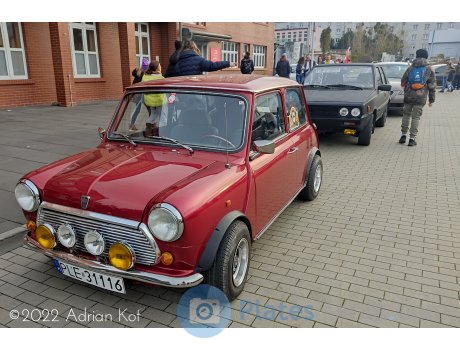PLE 31116, Rover Mini