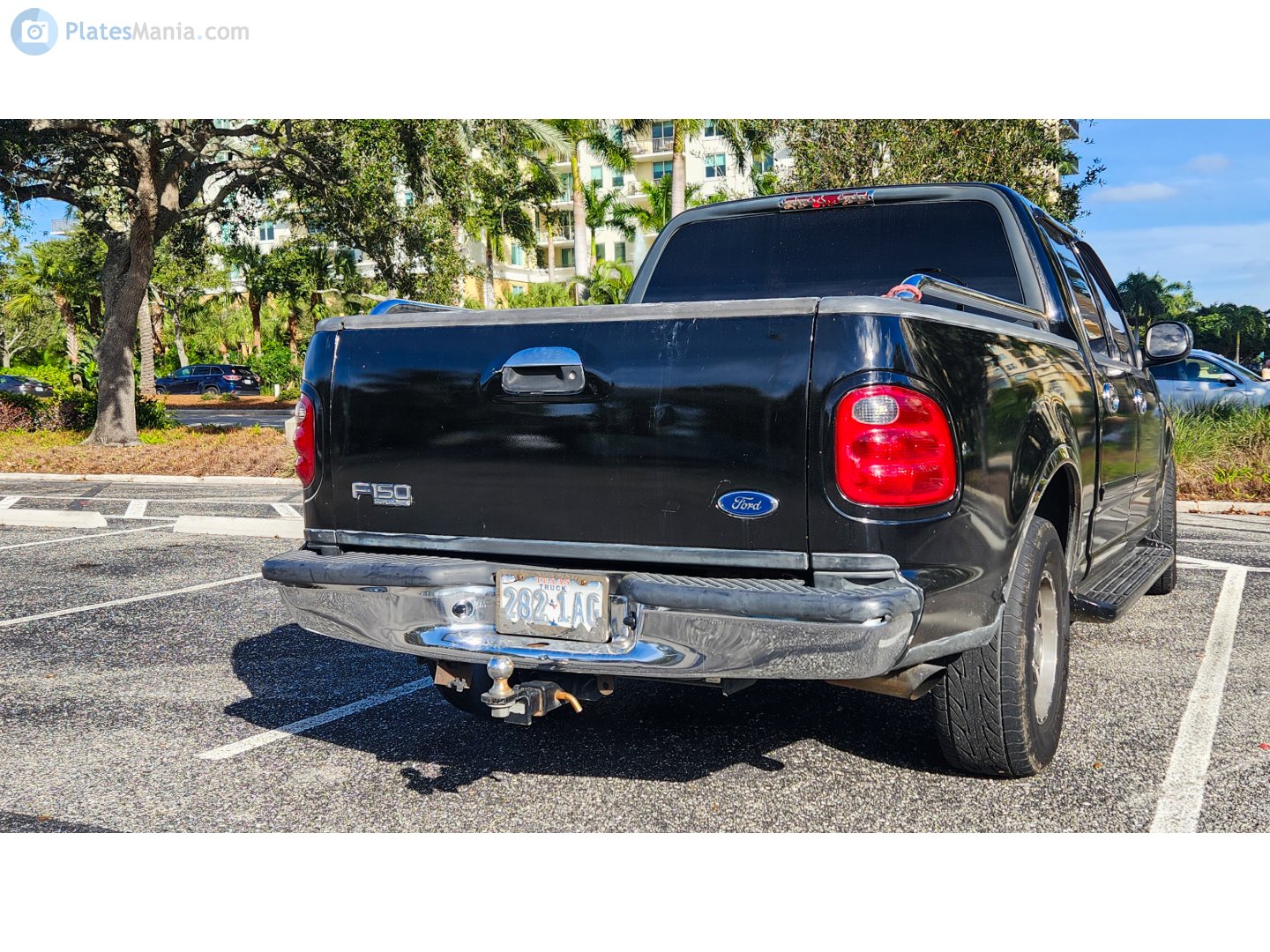 282-1AG, Ford F-150 10th gen (PN-96), 1995–2004