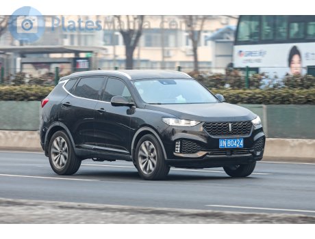 京N·B0424, WEY VV6