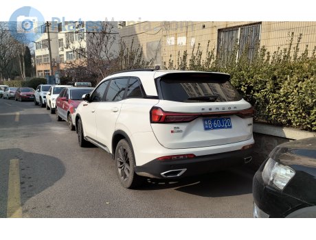 鲁B·60J2D, Fengon (Fengguang) 580