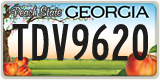 Georgia, ABC 1234