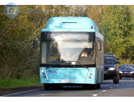 о708тм29, MAZ 206