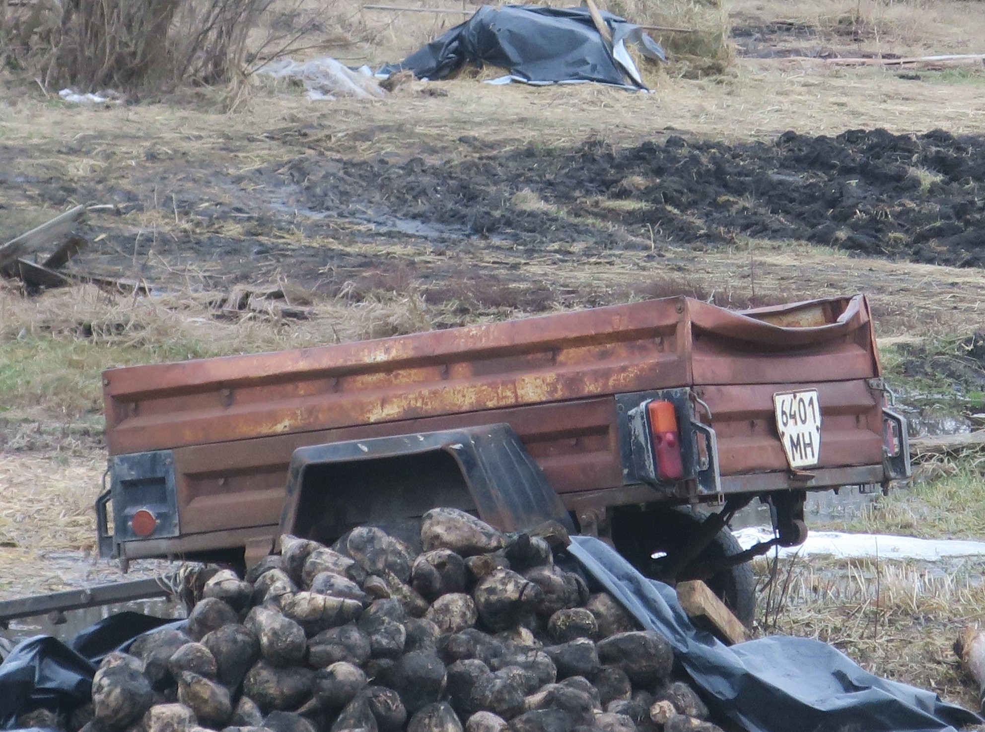 6401 МН, Kurganmashzavod (KMZ) 8136 