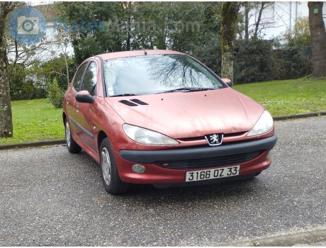 3166 QZ 33, Peugeot 206