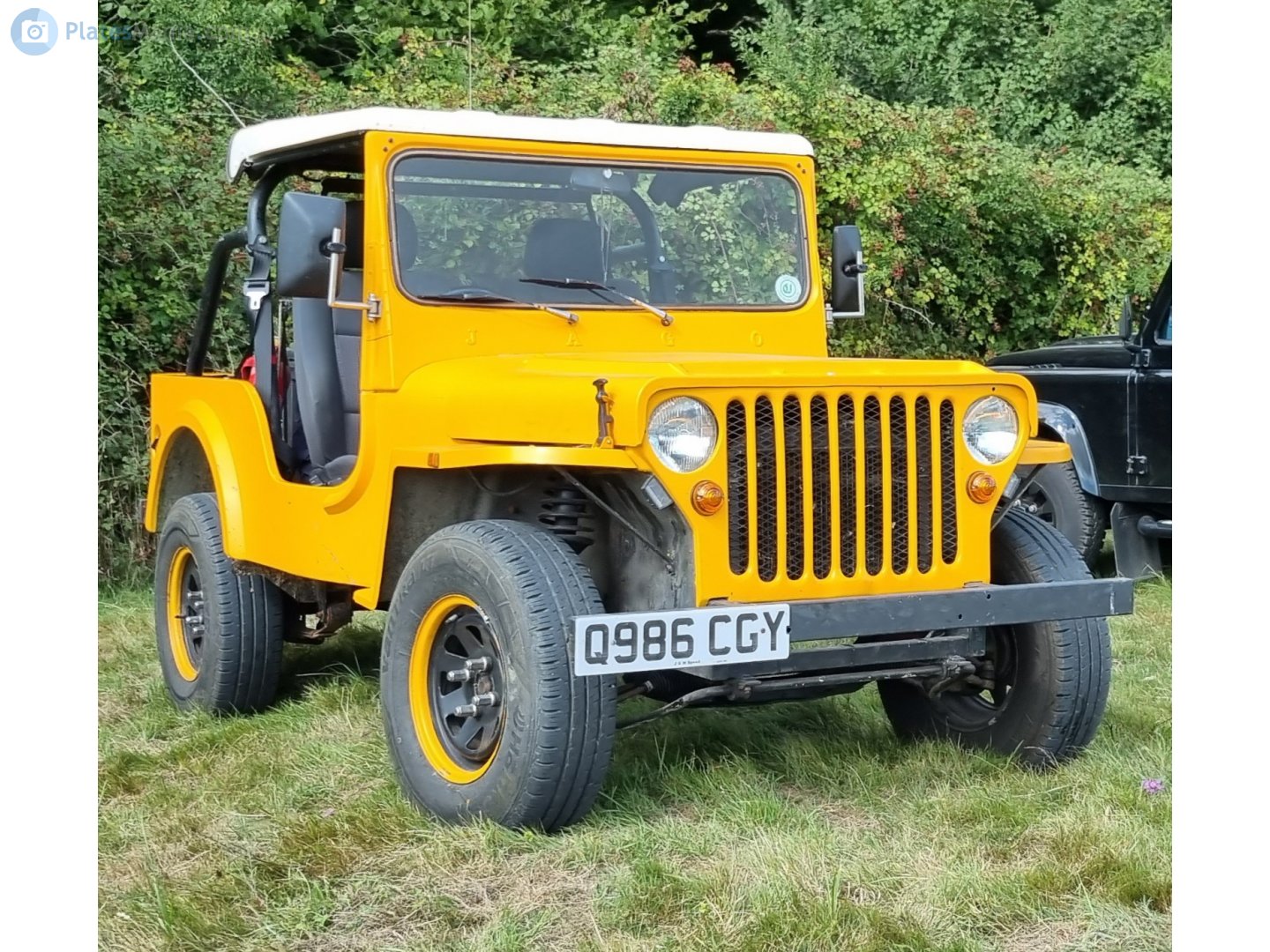 Q986CGY, Jago Geep/Sandero 