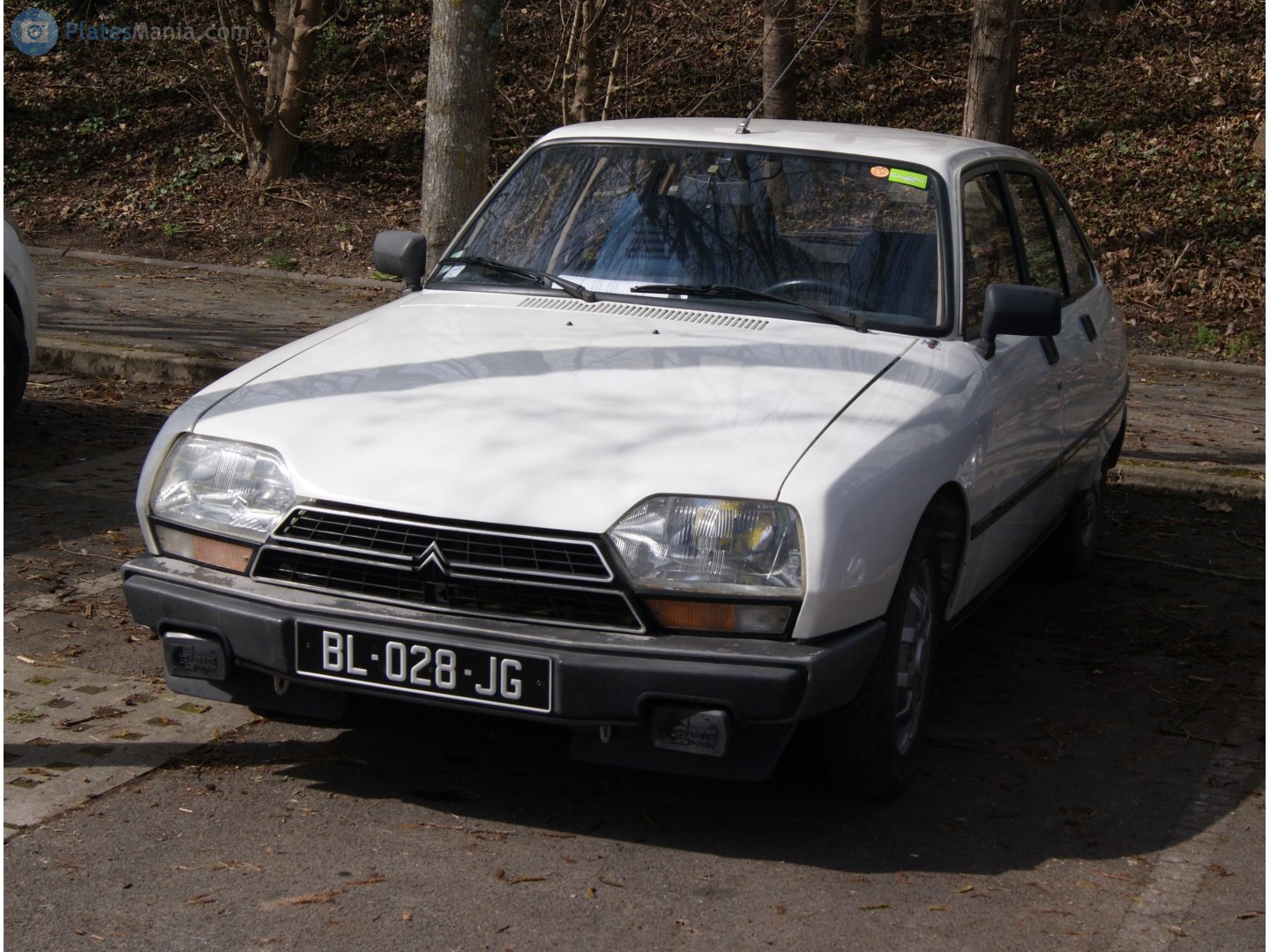 BL-028-JG, Citroёn GS / GSA 