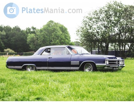 AL-45-89, Buick Wildcat