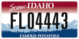 Idaho, Rental cars (FL12345)