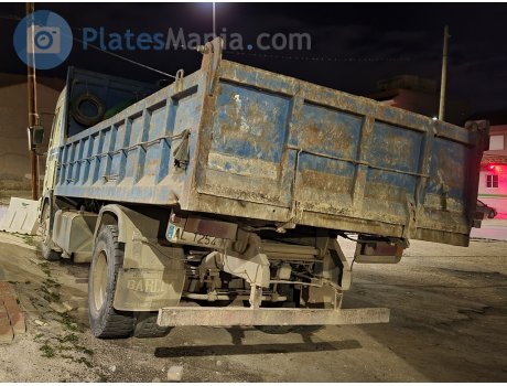 AL 1254 N, Pegaso Troner