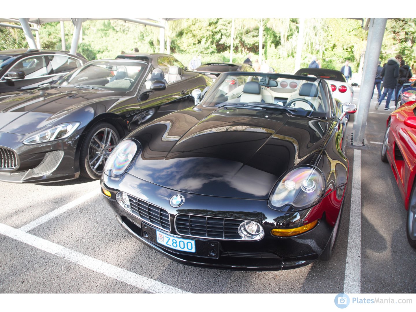 Z800, BMW Z8 1st gen (E52), 1999–2003