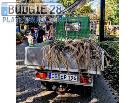 OG EP 196, Still R-Series