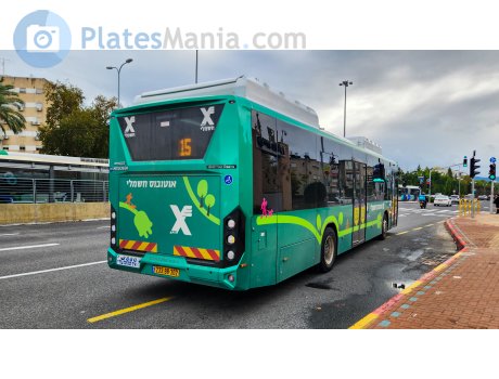 233-98-302, Merkavim Pioneer