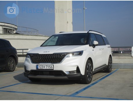 123우 7156, Kia Carnival