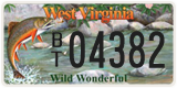 West Virginia, Specialty plates (X/X 12345)