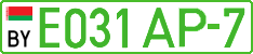 License plate Belarus, Electric vehicles (cars)