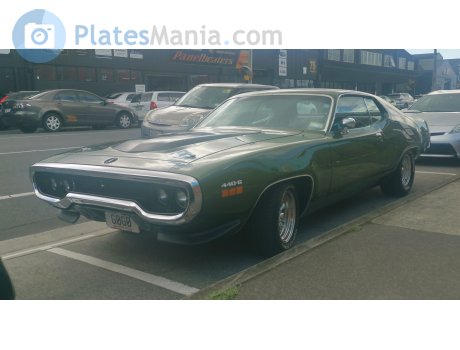 G0G0, Plymouth Road Runner