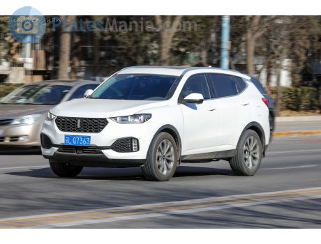 京L·Q7363, WEY VV6