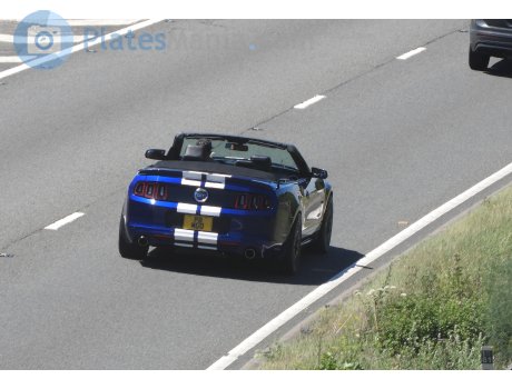 P8 MGO, Ford Mustang