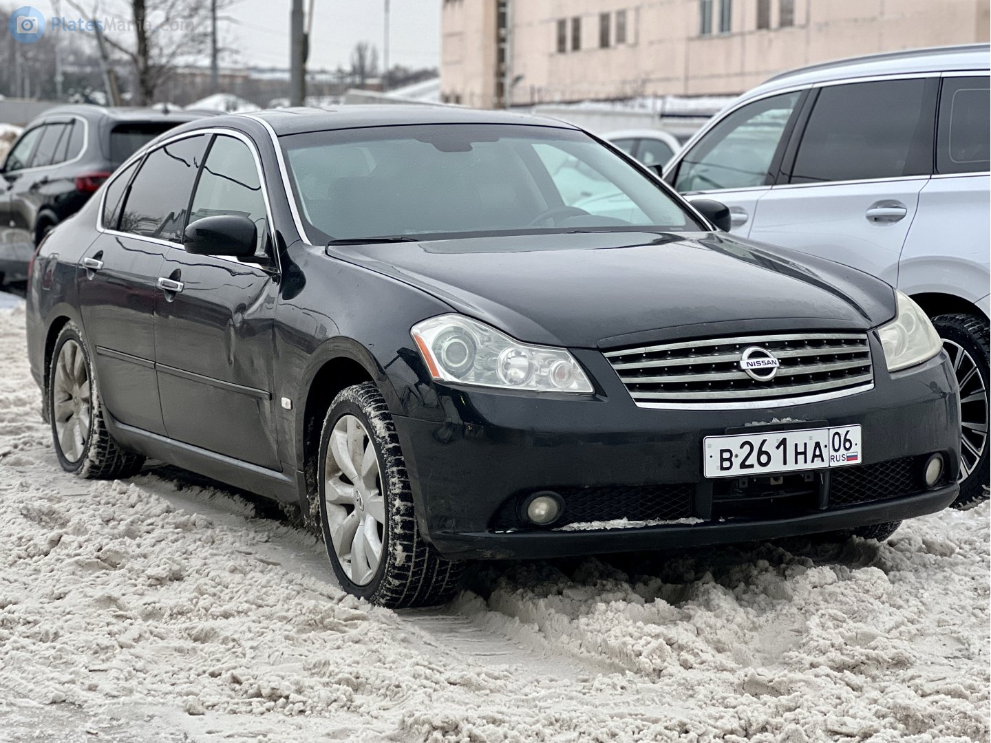 в 261 на 06, Nissan Fuga 1st gen (Y50), 2004–2009