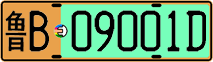 License plate of China, Electric vehicles