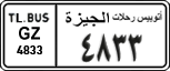 License plate of Egypt, Cars (1999)
