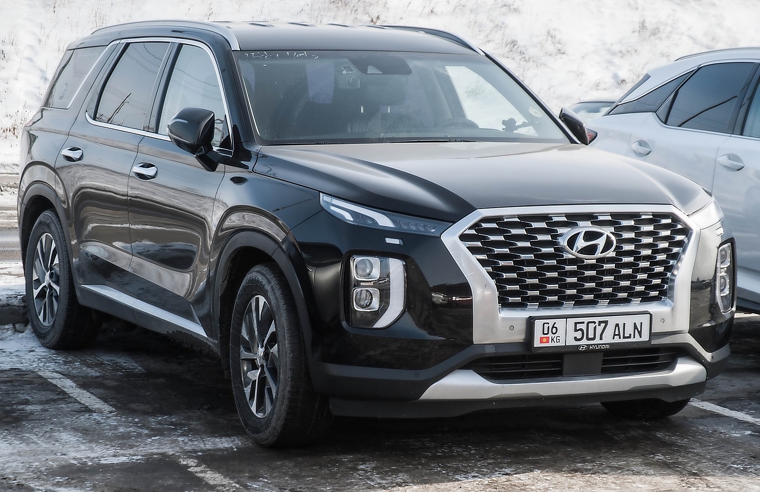 06 507 ALN, Hyundai Palisade 1st gen (LX2), 2019–2022