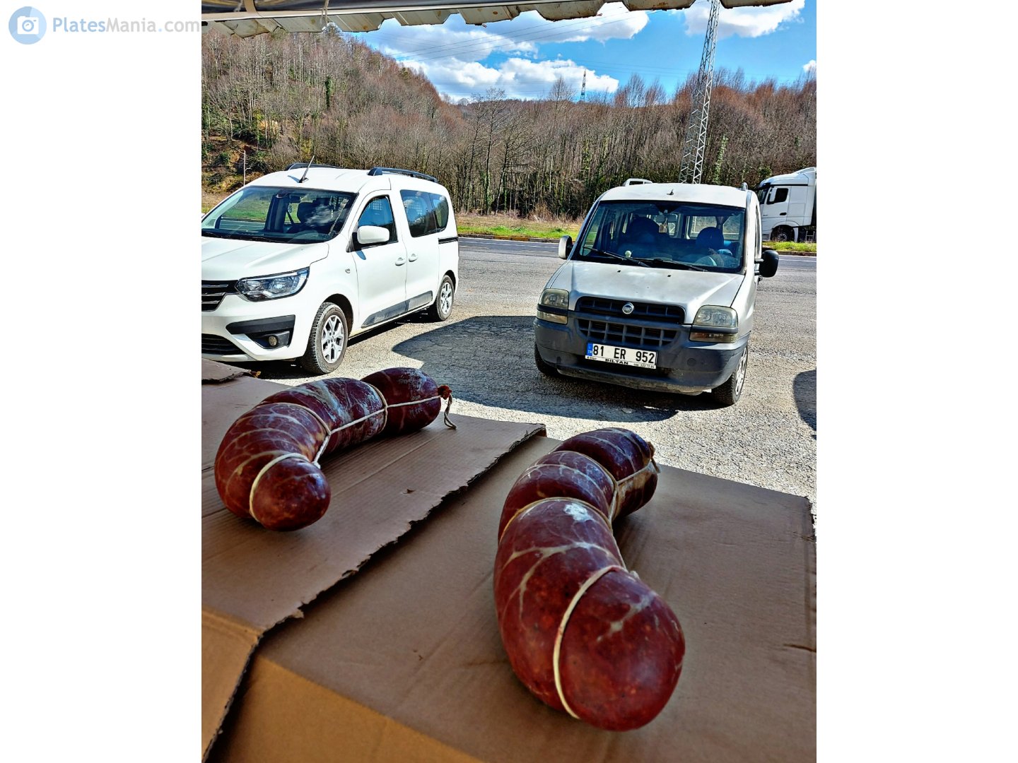 81 ER 952, FIAT Doblò 1st gen (223), 2000–2005 (–2009 for BR-market)