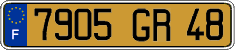 French license plate, FNI