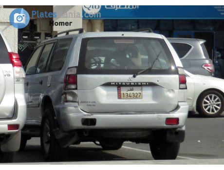 134327, Mitsubishi Nativa