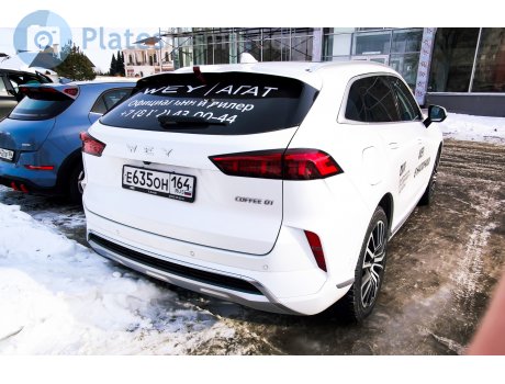 е635он164, WEY 05 (Mocha/Coffee 01)